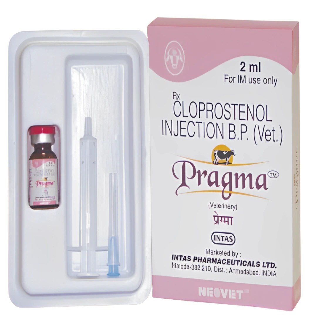 Pragma