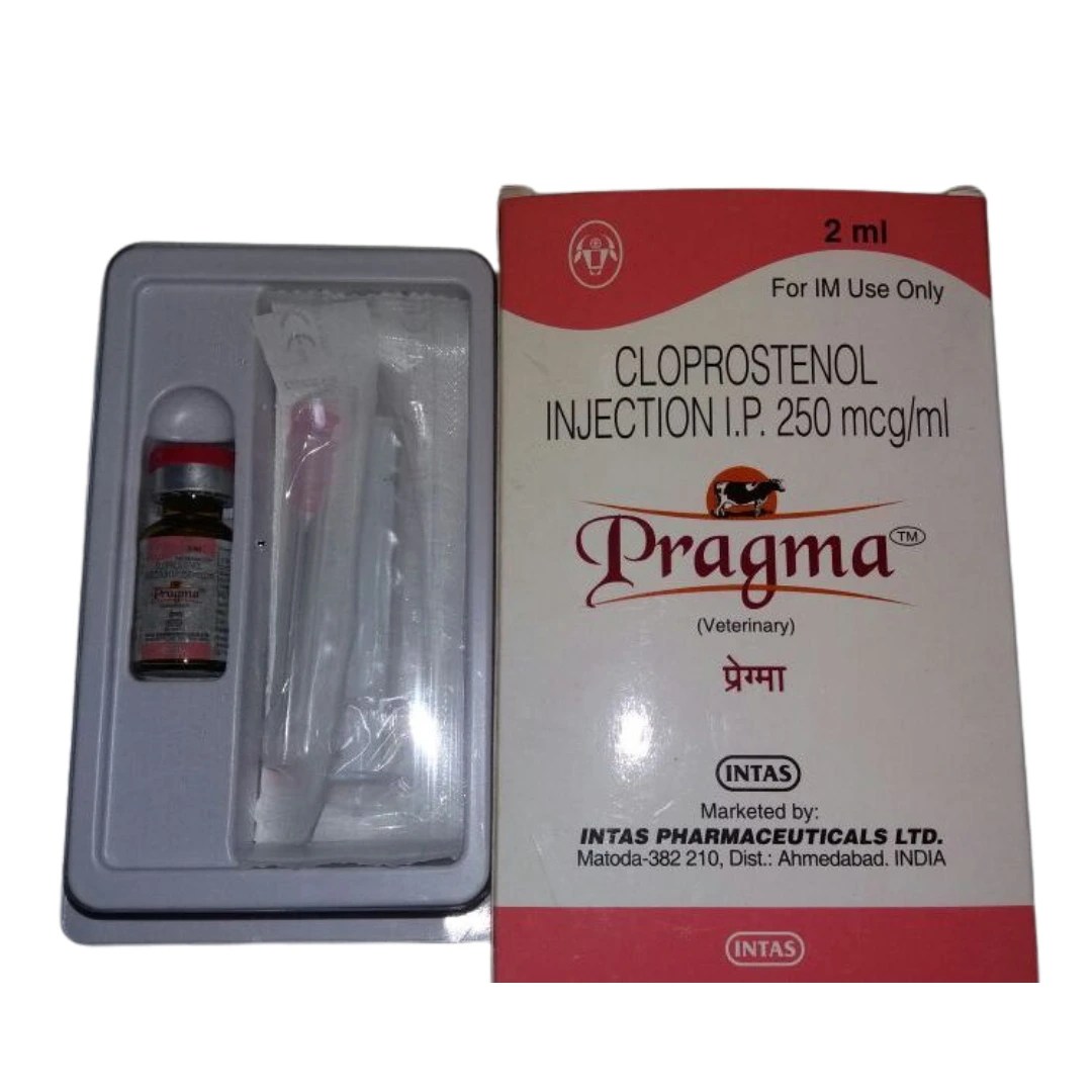 Pragma