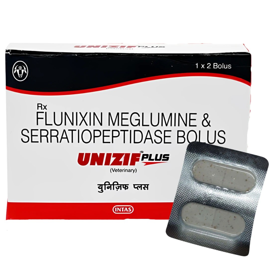 UNIZIF Plus