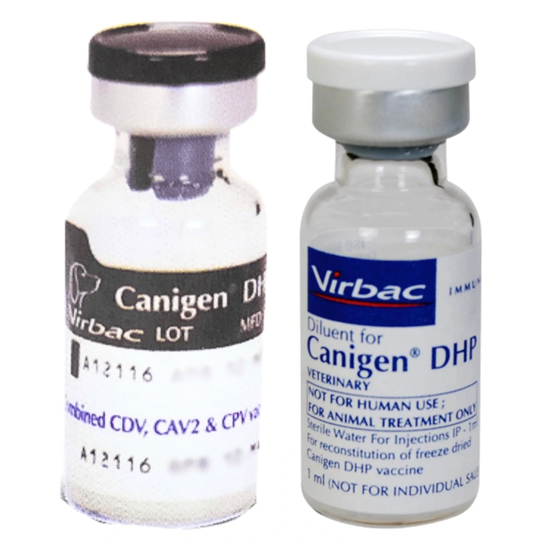 CANIGEN DHP