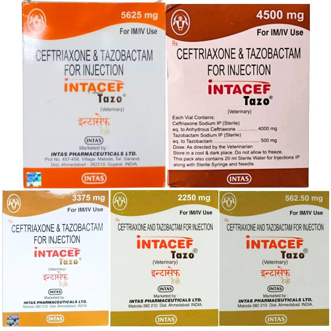 Intacef Tazo