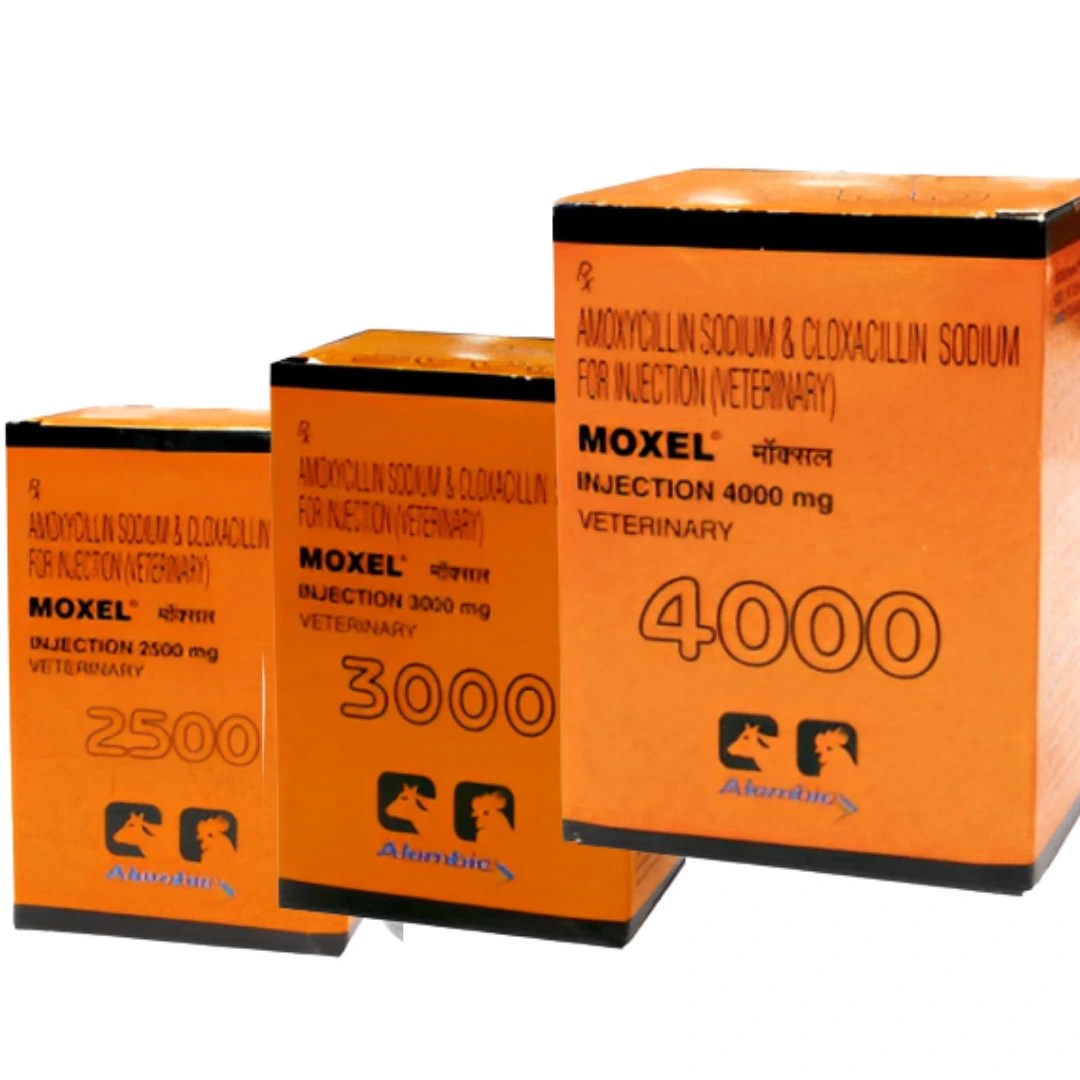 MOXEL