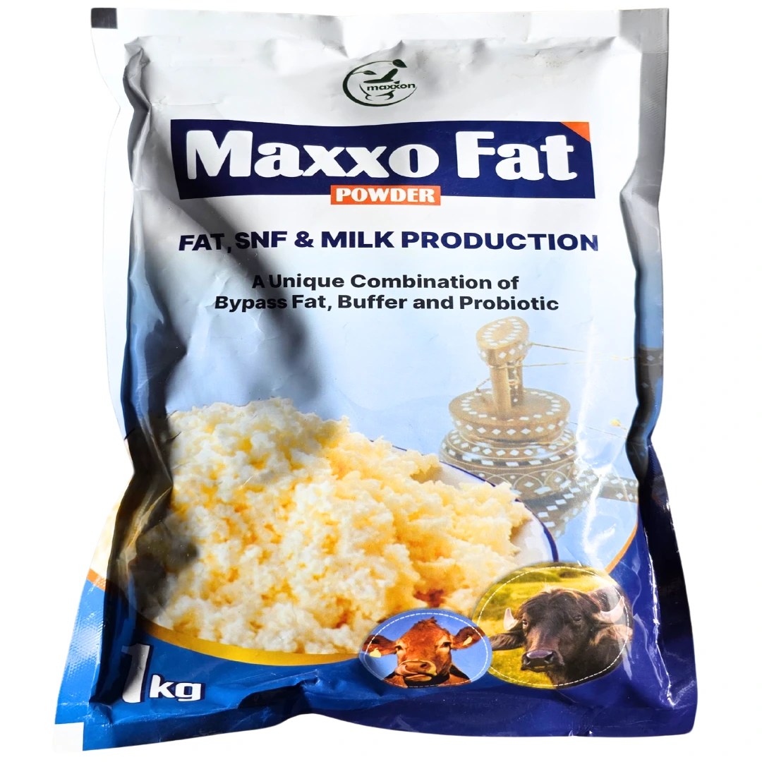 Maxxo Fat