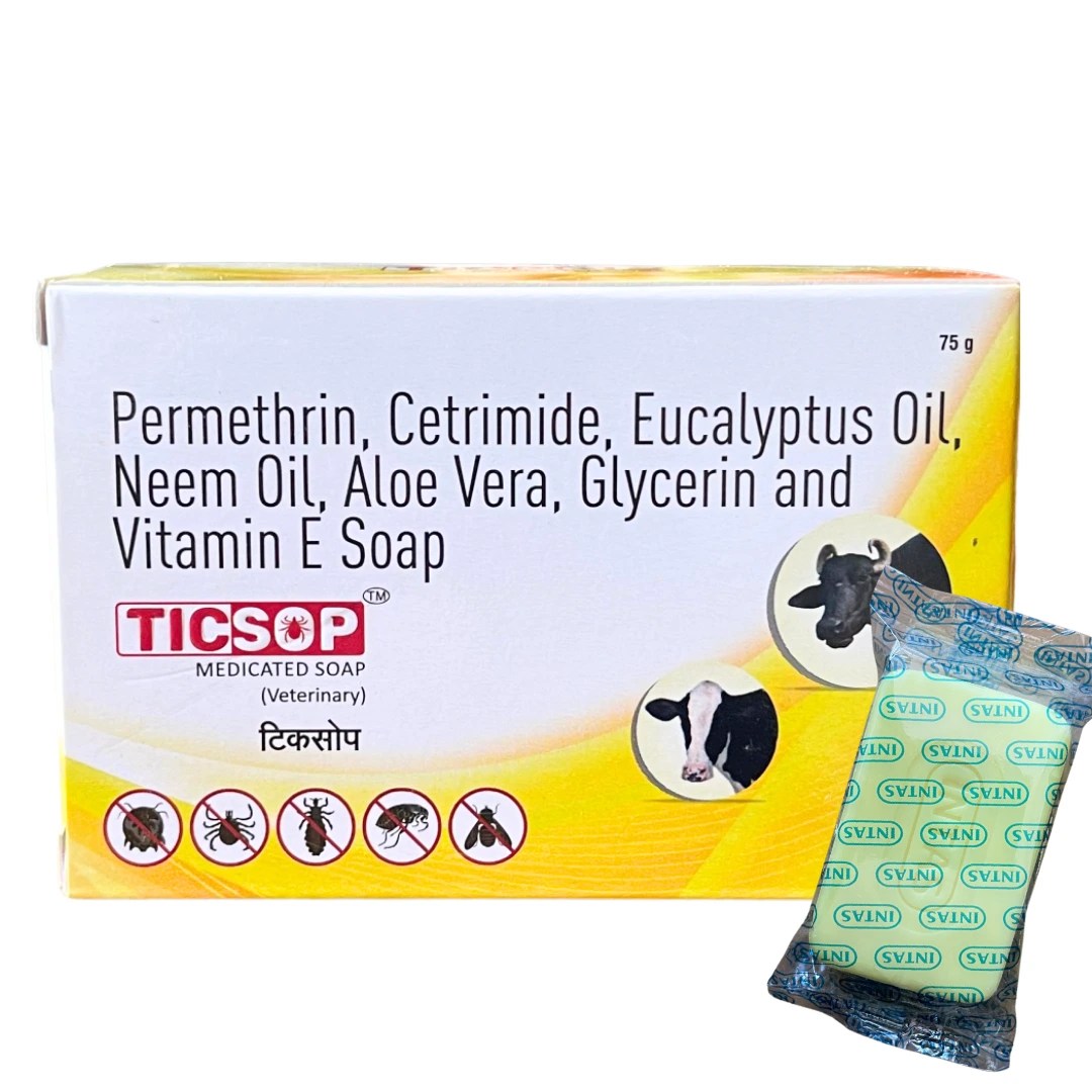 Ticsop
