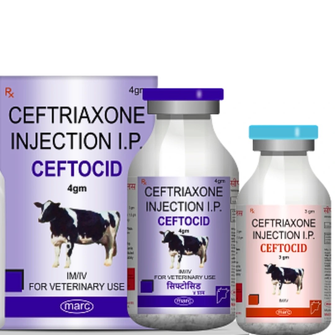 CEFTOCID