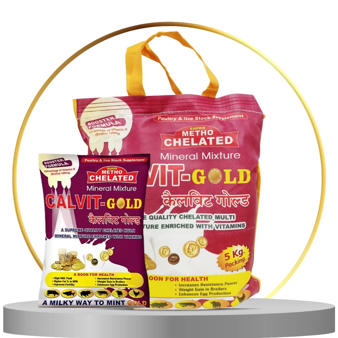 Calvit Gold