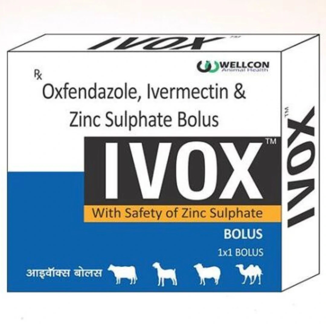 IVOX