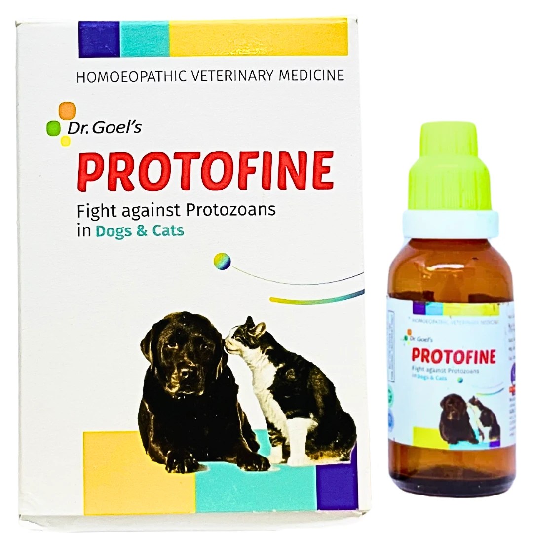 Protofine