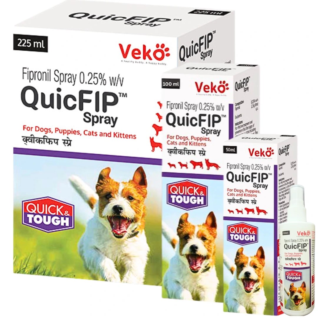 QuicFIP