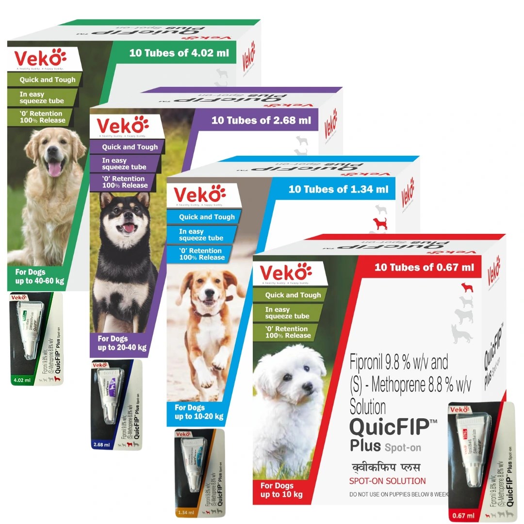 QuicFIP Plus