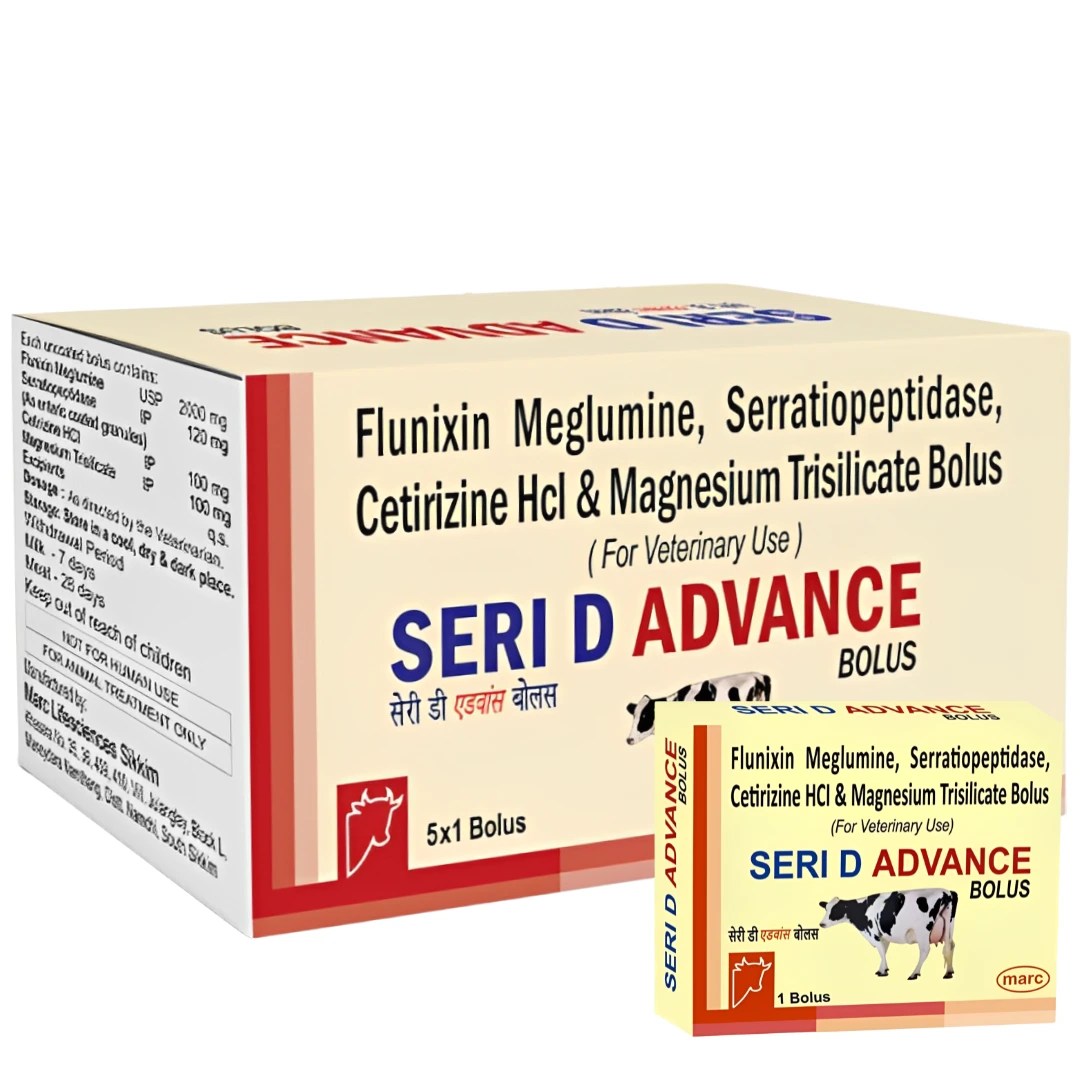SERI D ADVANCE