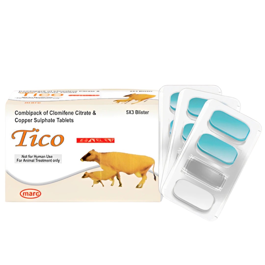 TICO