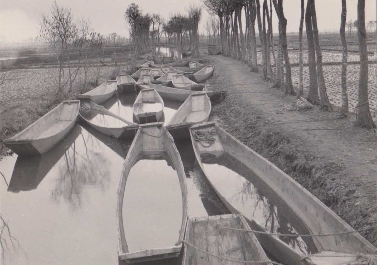 亀田縞の歴史 | 【公式】亀田縞 - 江戸ストライプ