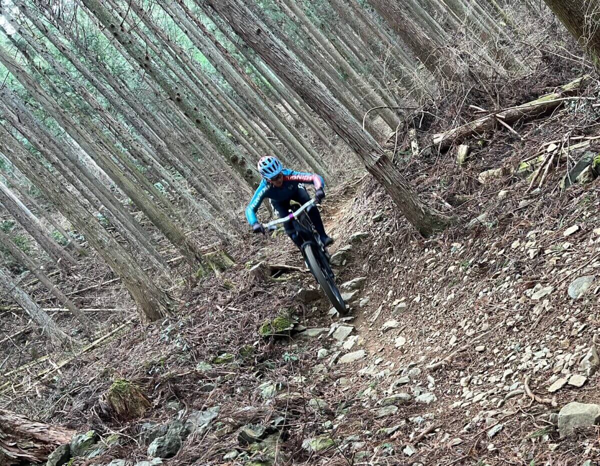 画像の説明を入れる