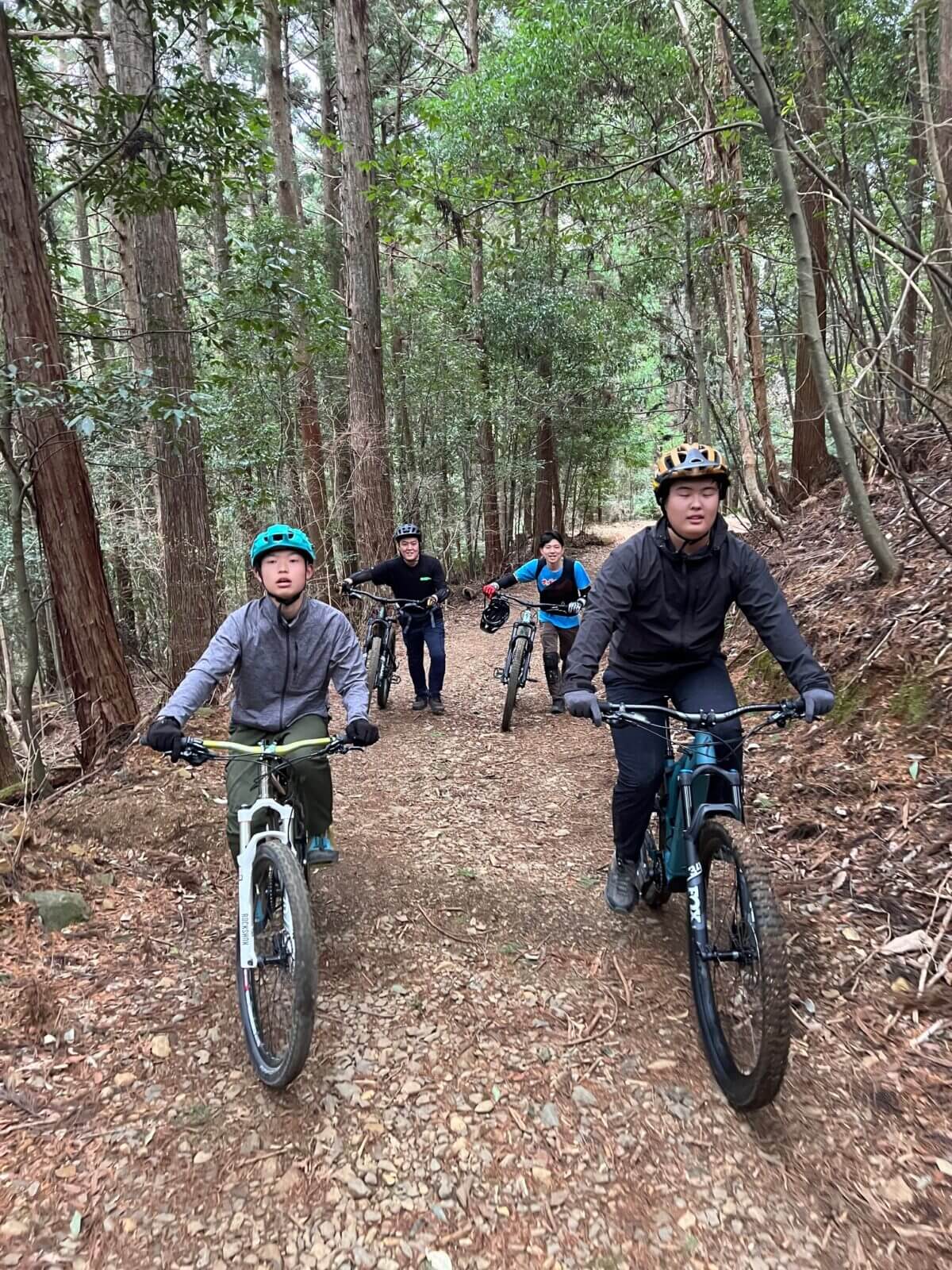 画像の説明を入れる