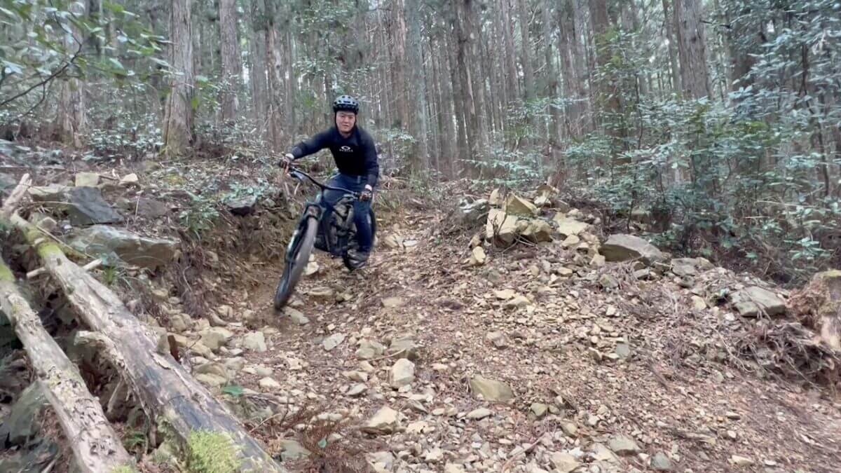 画像の説明を入れる