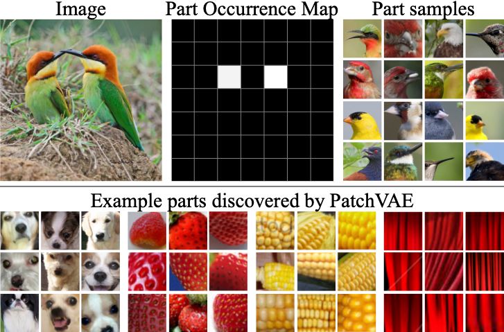 Github Imeesinha Proteinpatch Vae Protein Patch Variational - Best Minimal Patterns in Ultra HD