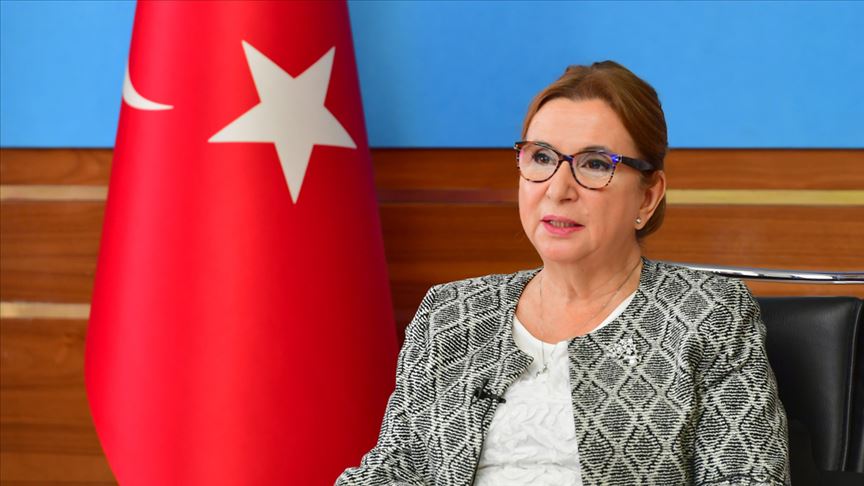 Ticaret Bakanı Pekcan: 81 İlde İhracata İlk Adım Programı’mızı başlatıyoruz