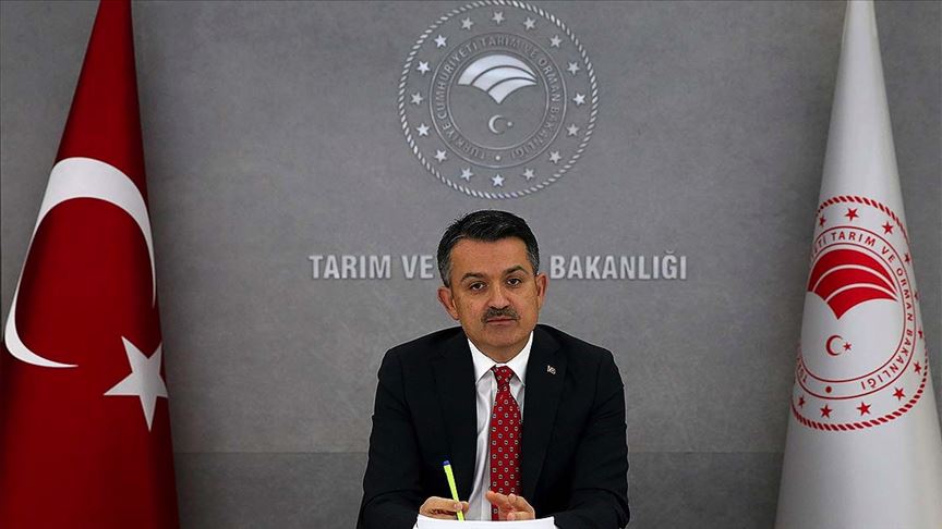 Geleneksel kıyı balıkçılığına 3 yılda 28,2 milyon lira destek