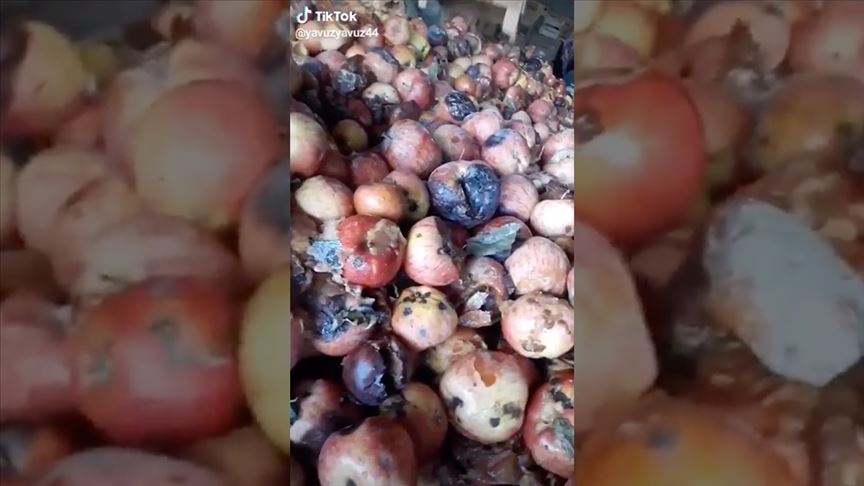 Tarım ve Orman Bakanlığından “çürük elma” videosuna inceleme
