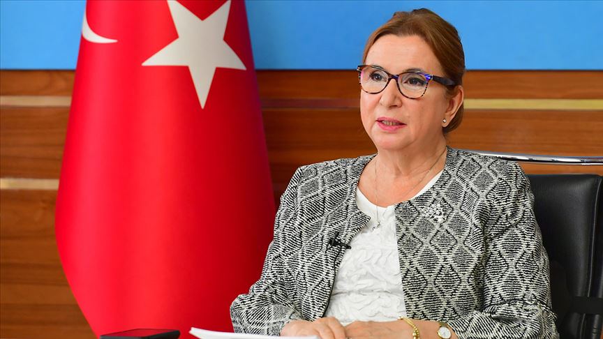 Bakan Pekcan: Pandemi sonrası küresel ekonomideki rolünü daha da güçlendirmiş bir Türkiye olarak yolumuza devam edeceğiz