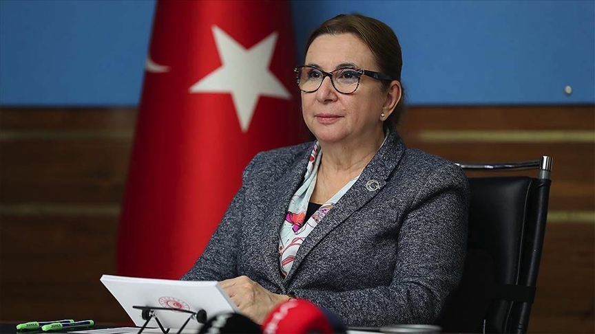 Bakan Pekcan: En kısa sürede Birleşik Krallık ile imzalayacağımız anlaşmayı paylaşmayı umuyoruz