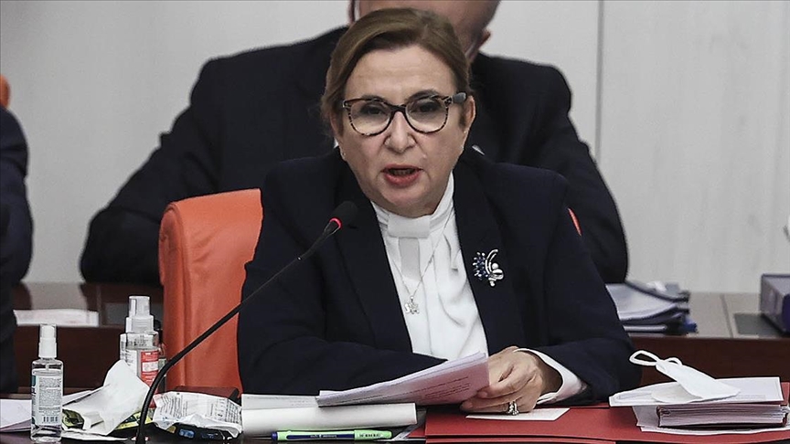 Ticaret Bakanı Pekcan: Esnaf ve sanatkarlarımıza sağlanan destekler etkinlikle sürecektir