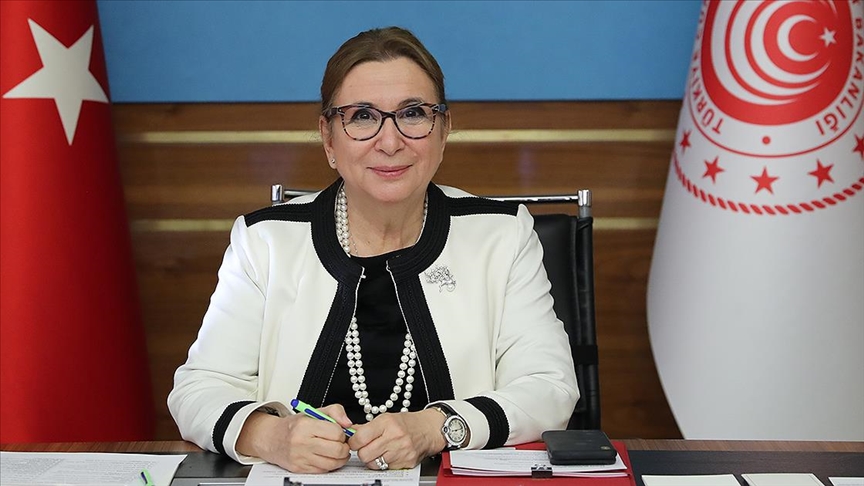 Bakan Pekcan: Serbest Ticaret Anlaşması Birleşik Krallık ile ilişkilerimizin derinleştirilmesi yönünde kritik bir adım