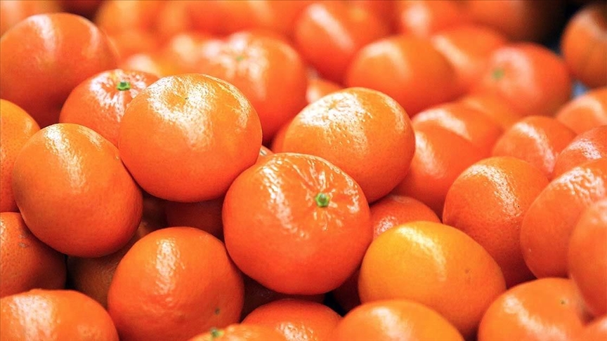 Narenciye ihracatını 2020’de mandalina sırtladı
