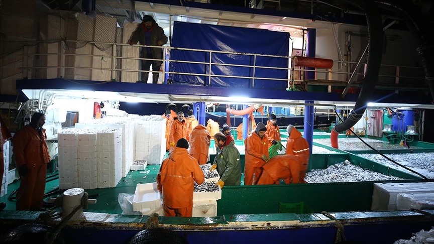 Akdeniz’den geçen yıl 115 ülkeye su ürünleri ve hayvansal gıda ihraç edildi