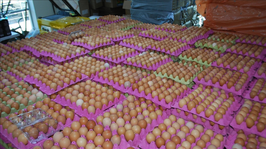 Yumurta fiyatlarının artmasında yem maliyetleri etkili oldu