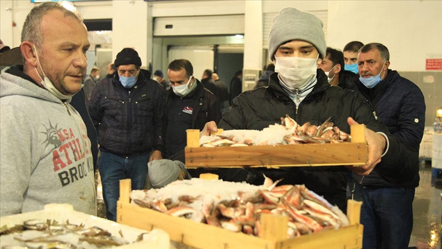 Samsun’da balık halinde yasak öncesi son mezatta hamsi yoğun ilgi gördü