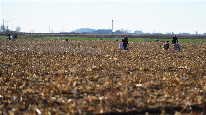 Mardin’in bereketli toprakları imara açılmayacak