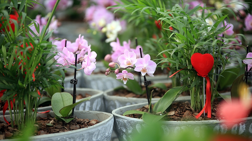 Hafta sonu kısıtlamasına denk gelen Sevgililer Günü için hediyeler erkenden alınacak