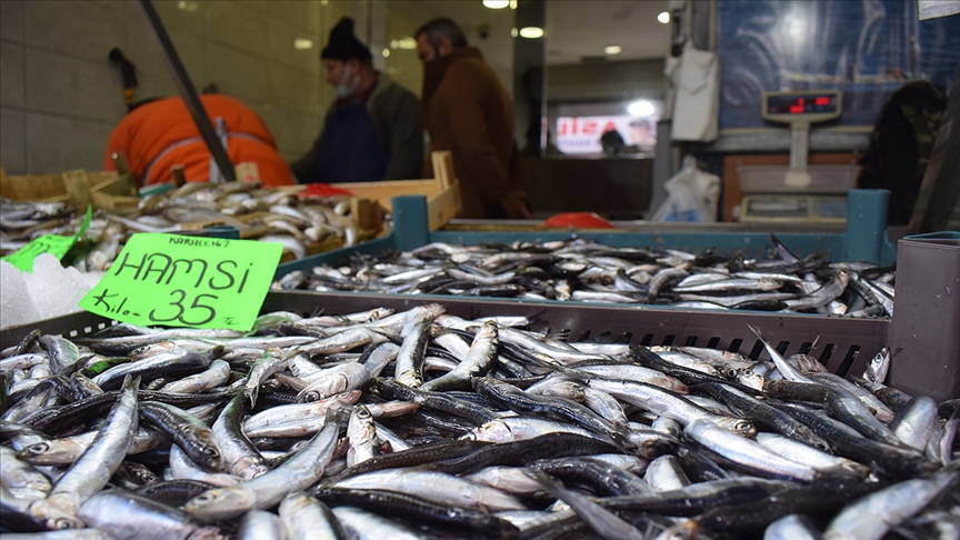 Kar ve fırtına Düzce’de hamsi fiyatını artırdı