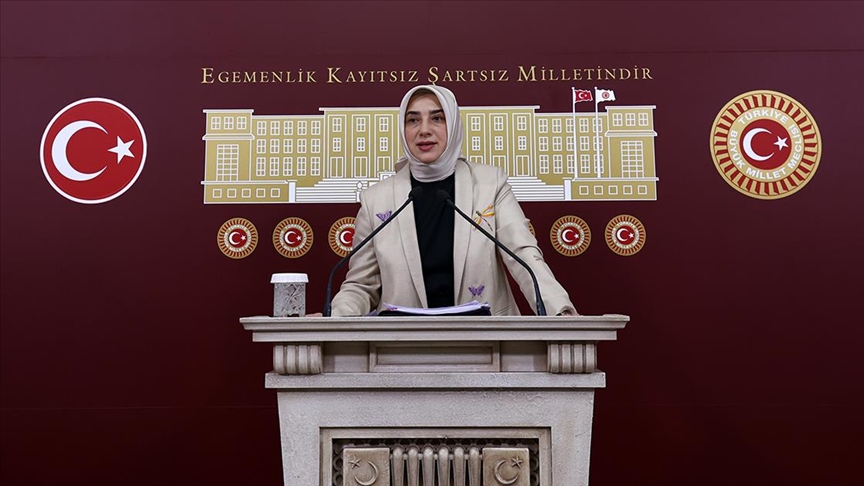 AK Parti Grup Başkanvekili Zengin: AK Parti siyasetine yapılan profesyonel bir saldırı