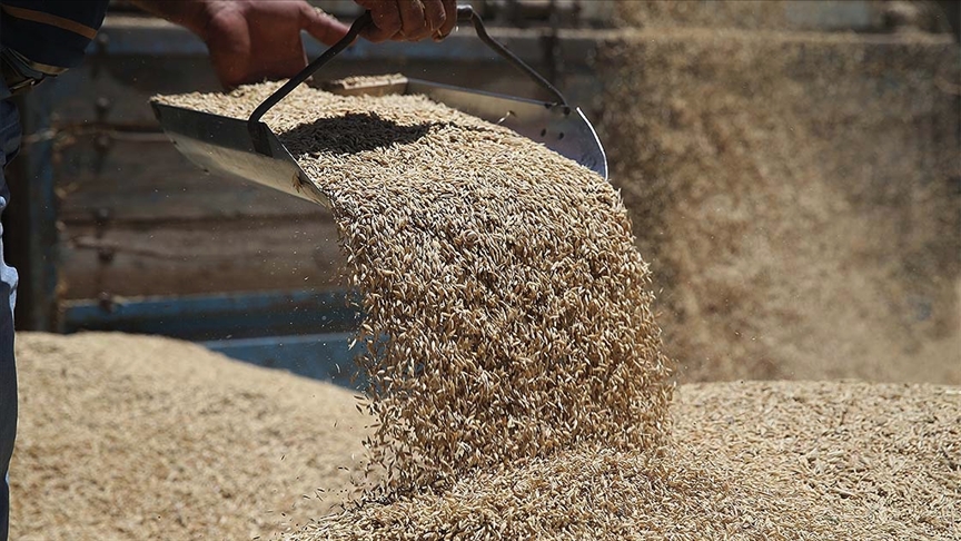 TMO, gıda fiyatlarındaki artışla mücadele için besicilere uygun fiyatlı yem satıyor