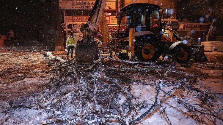 İstanbul’da kar yağışı nedeniyle bazı bölgelerde ağaçlar devrildi