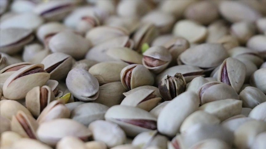 Siirt fıstığı Almanya’da raflarda yerini aldı
