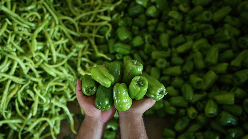 Şubatta fiyatı en fazla artan ürün dolmalık biber