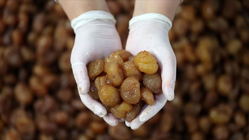 Bursa’nın tescilli lezzeti kestane şekeri üreticileri satışlarını e-ticaretle artıracak