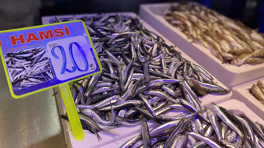 Trabzon’da taze hamsinin kilogramı 20-30 liradan satılıyor