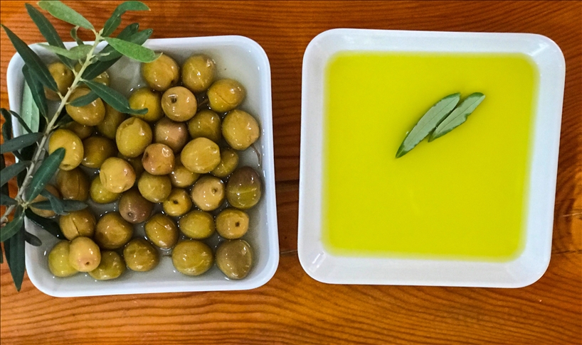 Antalya’ya has “Tavşan Yüreği” zeytini, coğrafi işaret logosuyla satılacak