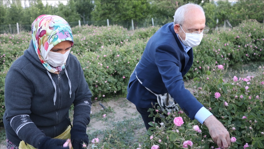 CHP Genel Başkanı Kemal Kılıçdaroğlu, Isparta’da gül hasadına katıldı