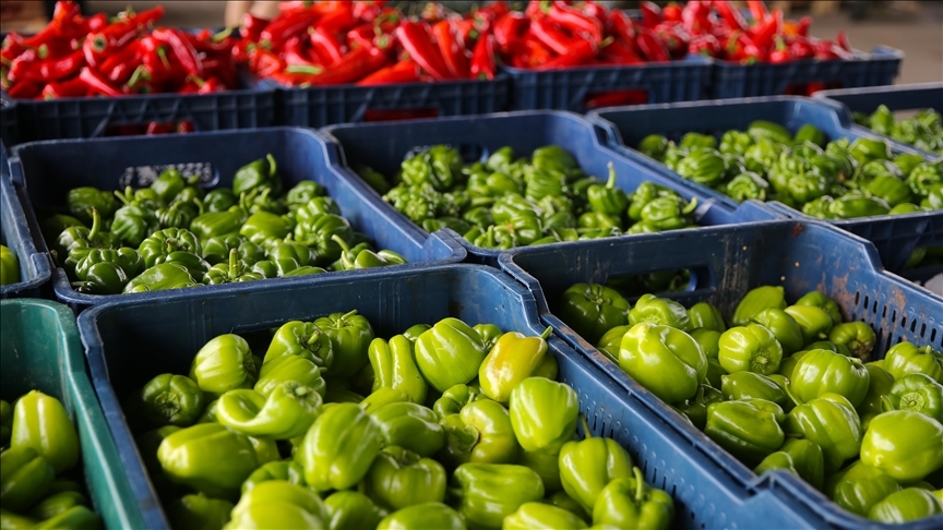 Batı Akdeniz’den nisanda yapılan rekor ihracat yüzleri güldürdü