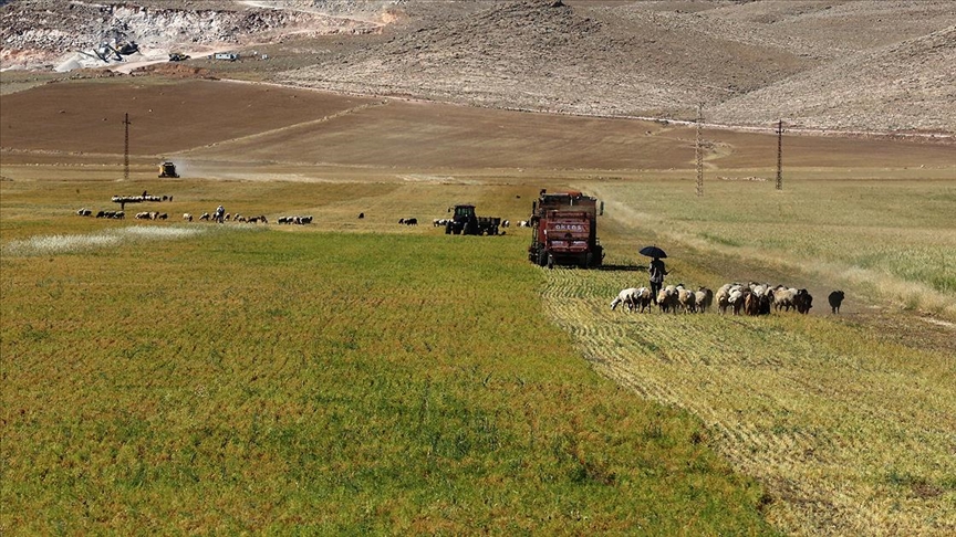 Mardin’in bereketli topraklarında tarımsal faaliyet bayramda da hız kesmedi