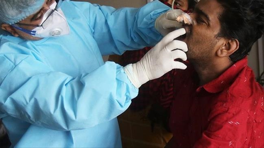 Arjantin’de kara mantar hastalığı tespit edildi