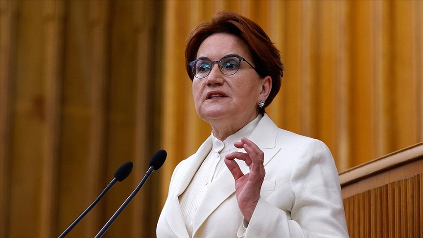 Akşener: Toplumun yüzde 75’i iklim kriziyle mücadele edilmesi gerektiğine inanıyor