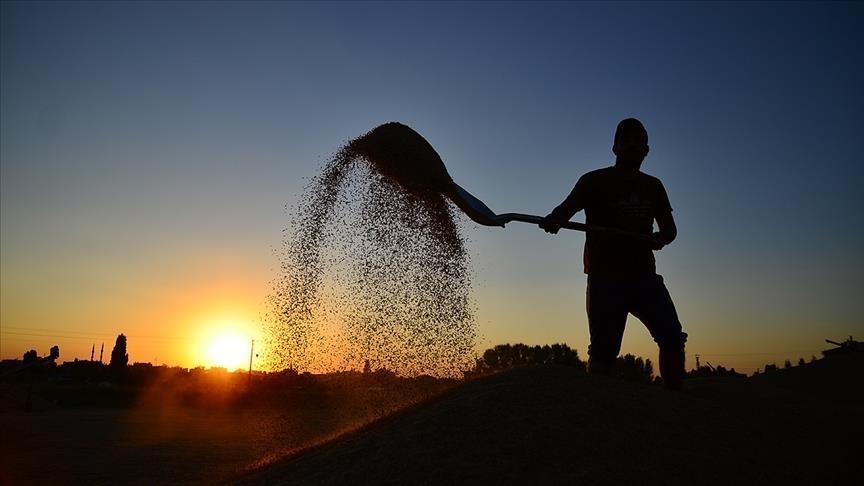 Tarım Kredi’den ‘mobil onaylı kredi’ fırsatı