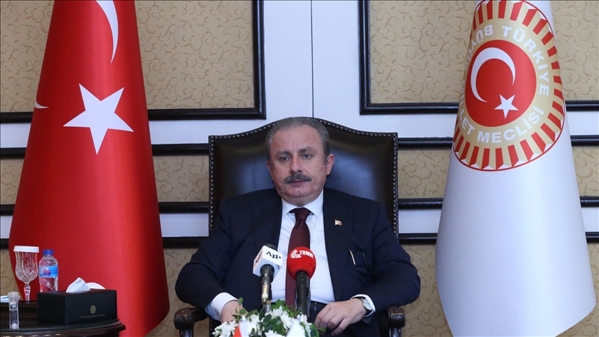 TBMM Başkanı Şentop, İsrail’in yargılanmasına yönelik atılacak adımları desteklediklerini söyledi